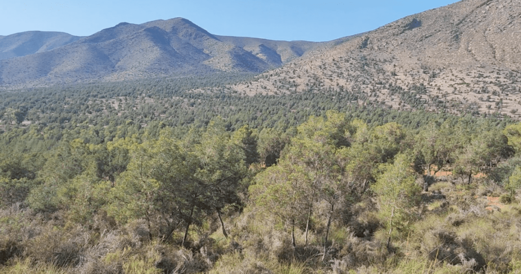 اتفاقية برشلونة