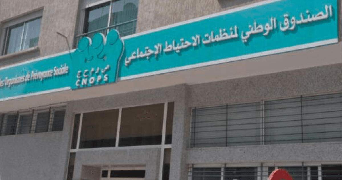 كنوبس