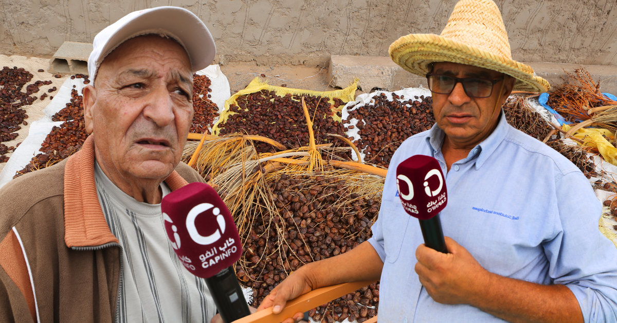 واحة فجيج