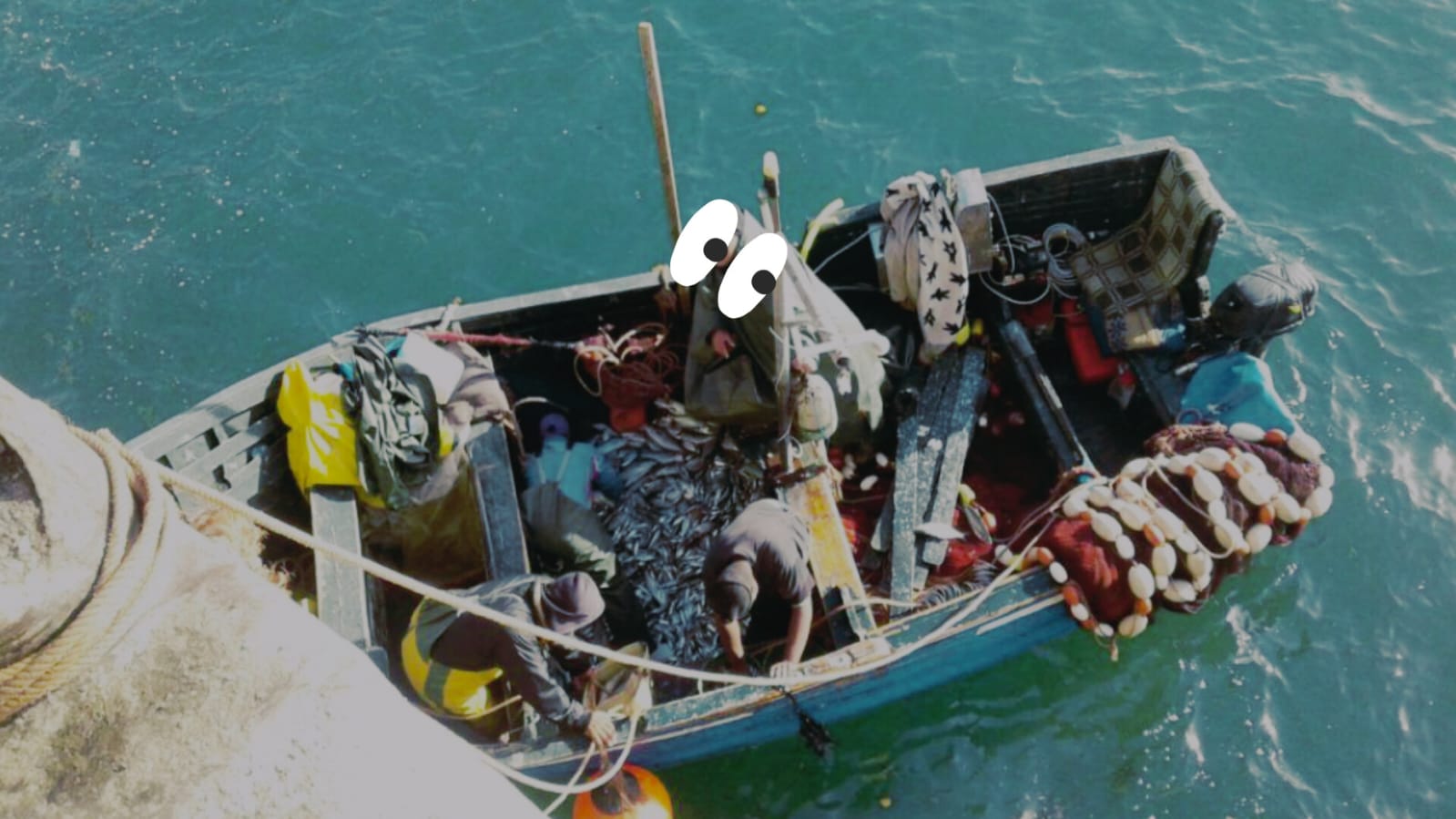 صيد الحبار