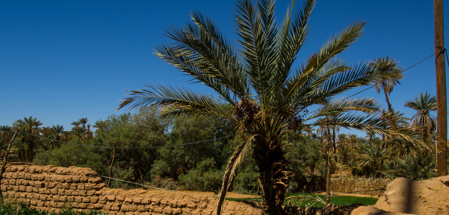 الترافع البيئي بالمغرب
