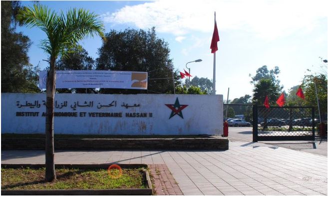 معهد الحسن الثاني للزراعة والبيطرة