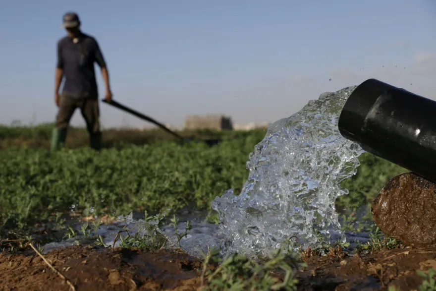 المياه المحلاة في ري المحاصيل الزراعية جنوب المغرب