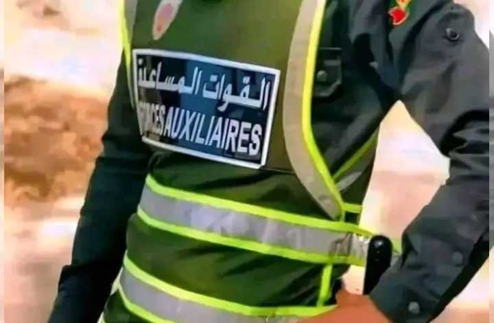 القوات المساعدة