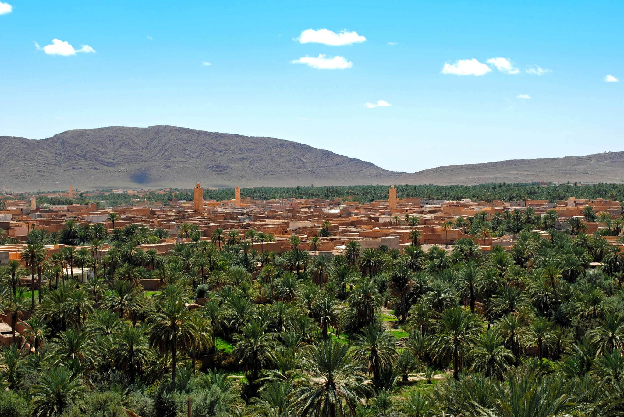 واحة فجيج