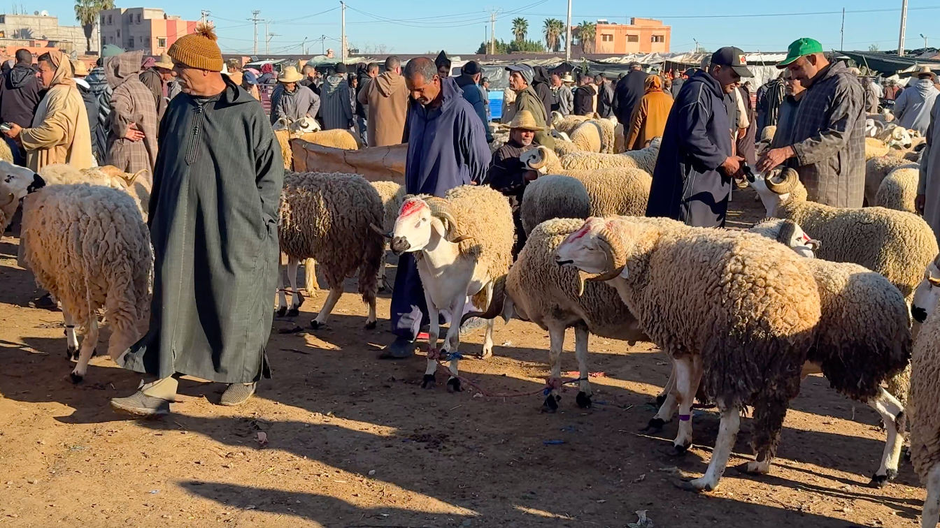 الرحامنة